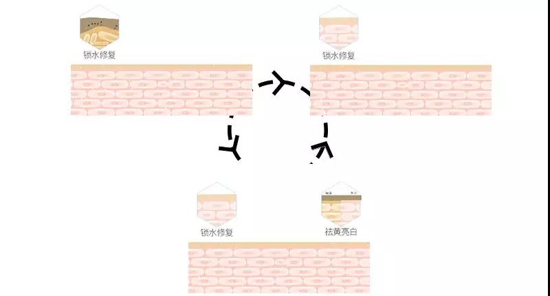 FH至尊平台(中国)官方网站