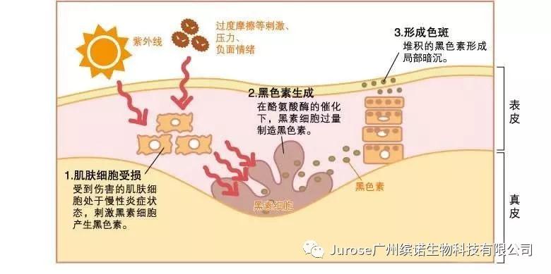 FH至尊平台(中国)官方网站