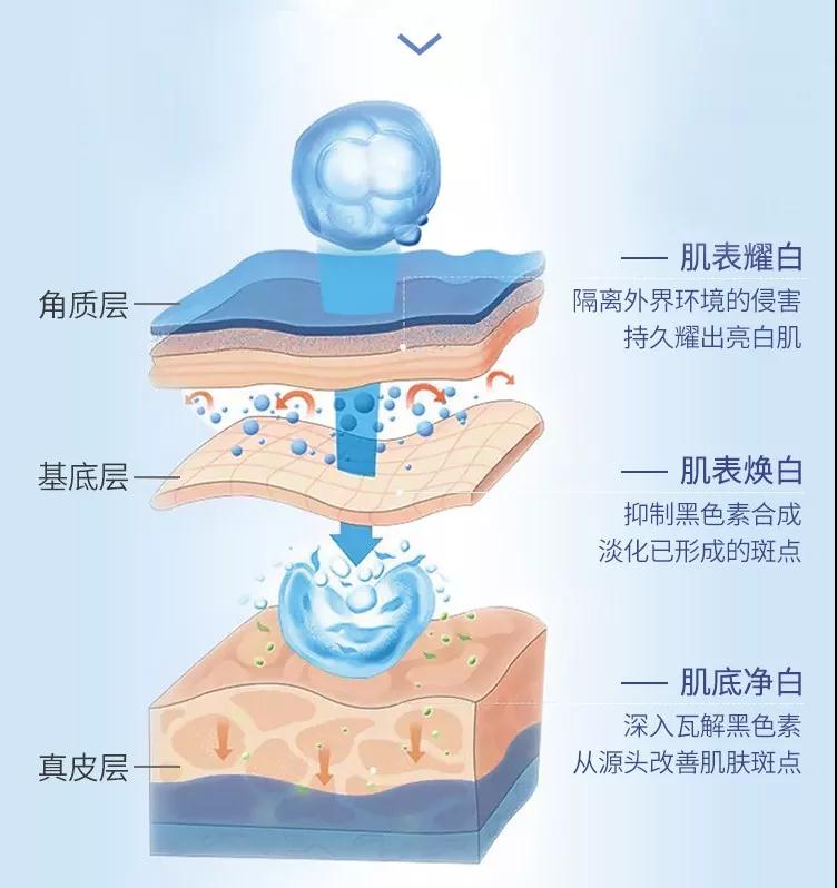 FH至尊平台(中国)官方网站