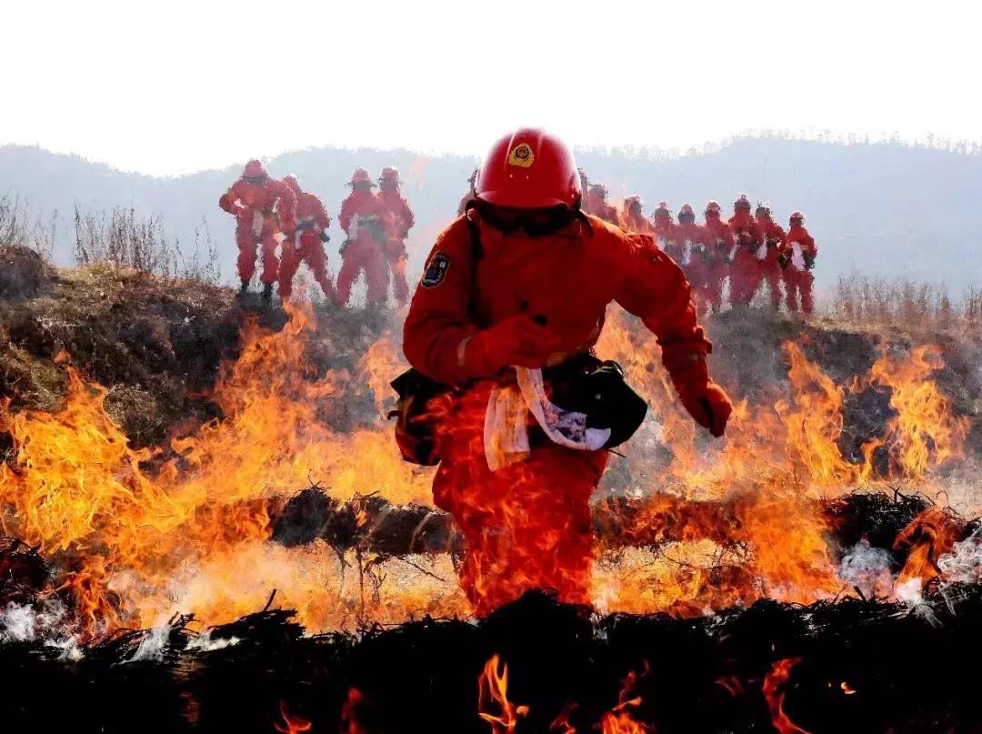 FH至尊平台(中国)官方网站