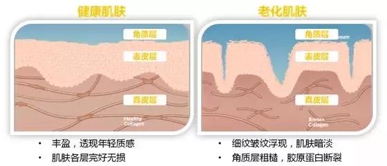 FH至尊平台(中国)官方网站